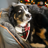Bavaglino per cani Tartan Dreams Pet Bandana