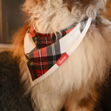 Bavaglino per cani Tartan Dreams Pet Bandana