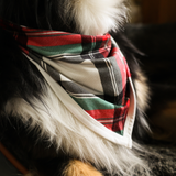 Bavaglino per cani Tartan Dreams Pet Bandana