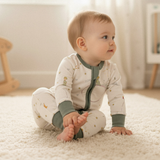 ZIPSTER™ The Little Prince® Asteroid B-612