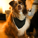 Bavoir pour chien Vert Heritage Pet Bandana